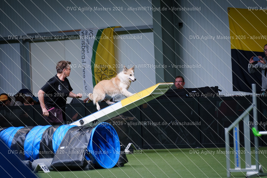 allesWIRTHgut_Tierfotografie-DVG_Agility_Masters_2026-12_36-7R502604 | Professionelle Tierfotografie in Mönchengladbach von Daniel Wirth (allesWIRTHgut). Liebevolle & natürliche Bilder von Hunden & Katzen für unvergessliche Erinnerungen.