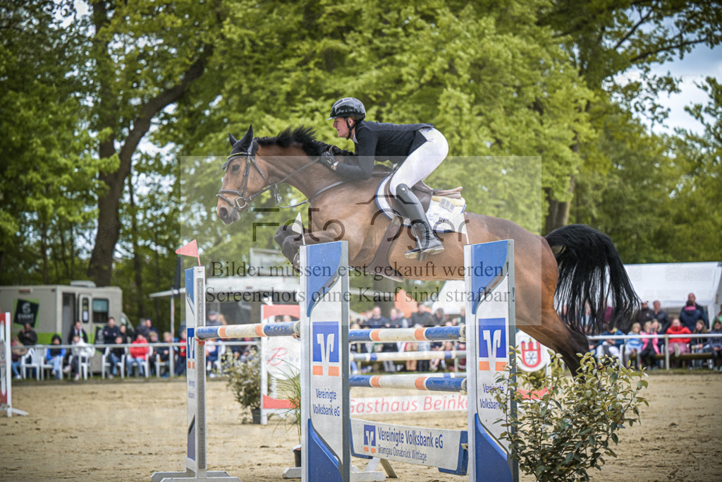 DOS_9762 | Entdecke hochwertige Reitturnierfotos von Foto Oger. Professionell, emotional und authentisch – jetzt Lieblingsmomente im Shop bestellen.Deutschlandweite Turnierfotografie. - Realisiert mit Pictrs.com