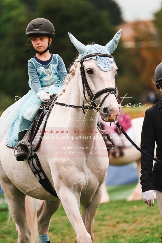 DSC_7386 | Pferde- und Turnierfotografie in Westsachsen. Pferdeportraits, Auftragszeichnungen und intuitive Kunst.