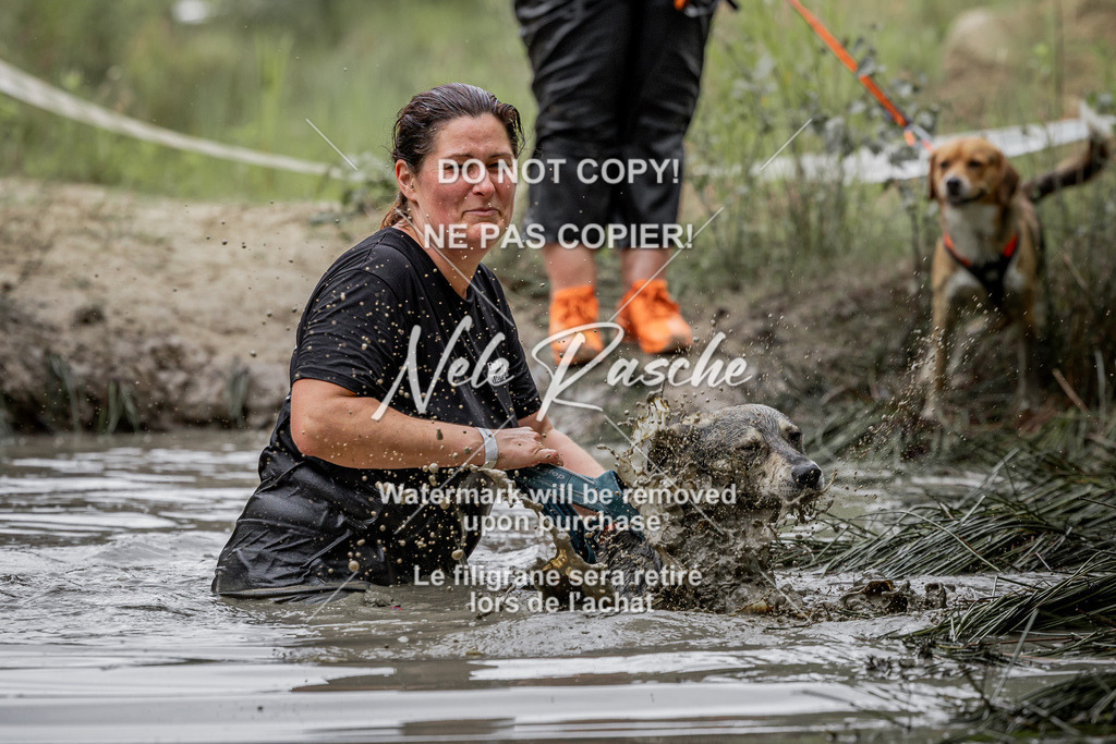 nelerasche_so0930-1000_397 | nelerasche