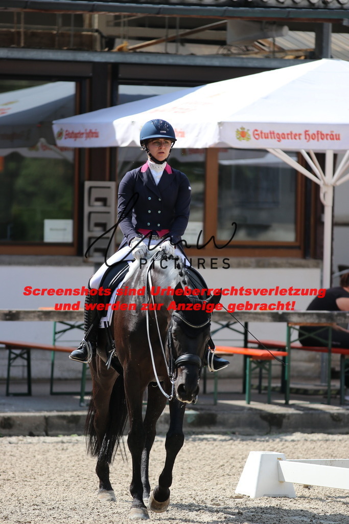 IMG_9489 | lmwpictures - Realisiert mit Pictrs.com