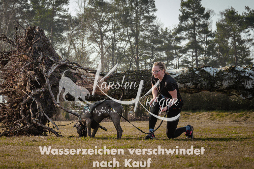 0944_ZZ99862 | kk-dogfotos