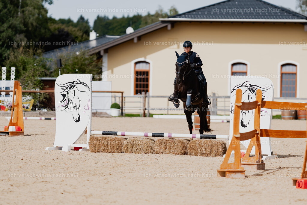 Leonie24_FHC2025-64 | working equitationturnier fotograf videograf stoibphotography marixx film working equitation deutschland reitsport turnierfotografie eventfotografie equestrian events