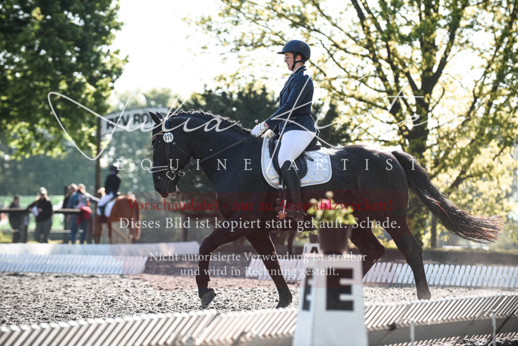 DSC_8455 | Pferde- und Turnierfotografie in Westsachsen. Pferdeportraits, Auftragszeichnungen und intuitive Kunst.
