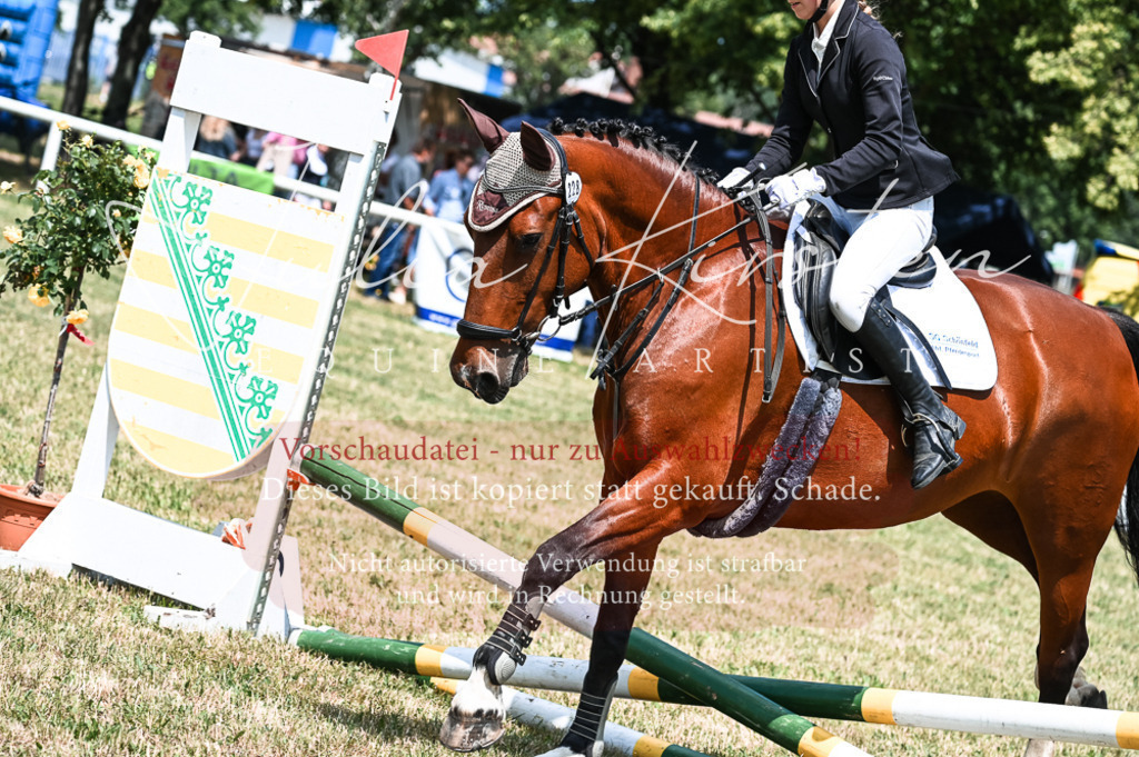 DSC_9567 | Pferde- und Turnierfotografie in Westsachsen. Pferdeportraits, Auftragszeichnungen und intuitive Kunst.
