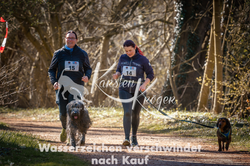 0940STR_9519 | kk-dogfotos