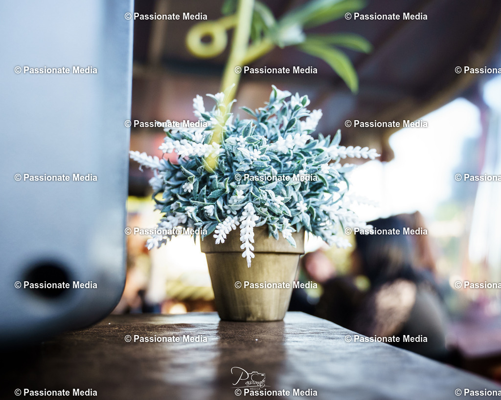 DSC08772 | Passionate Media, dein Fotograf aus Brandenburg, Märkisch Oderland, im Bereich Motorsport, Autos und Motorräder sowie Events und auch Hunde. Shootings oder auch Eventbegleitungen können bei mir gebucht we