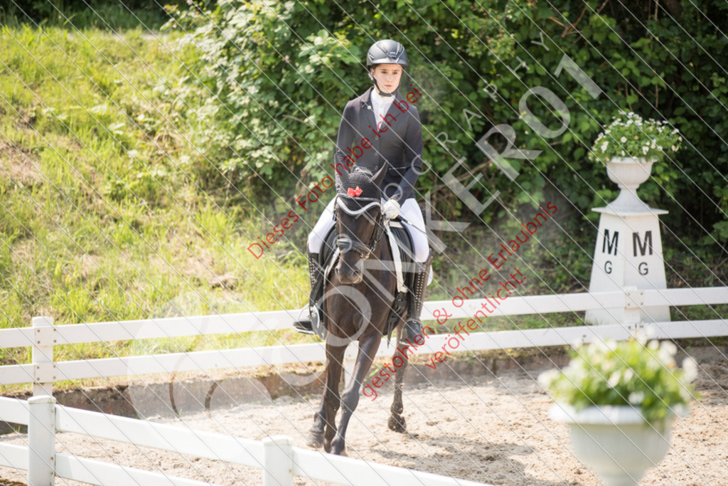 IMG_3452 | Sport-, Event- und Tierfotos in Profiqualität. Einfach auswählen, bestellen und herunterladen. Dein Moment – perfekt festgehalten.