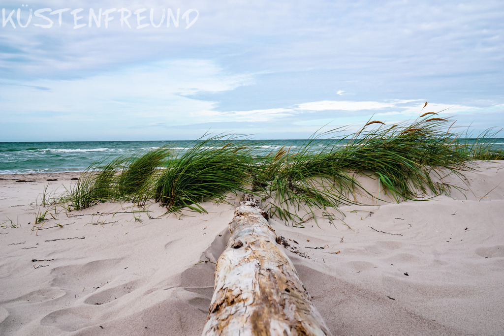 Treibholz Fischland | Entdecke deine Lieblingslandschaft von der Küste – auf Ostsee Leinwand, Nordsee Leinwand, Alu Dibond oder Acrylglas, passend für jeden Geschmack und Raum.