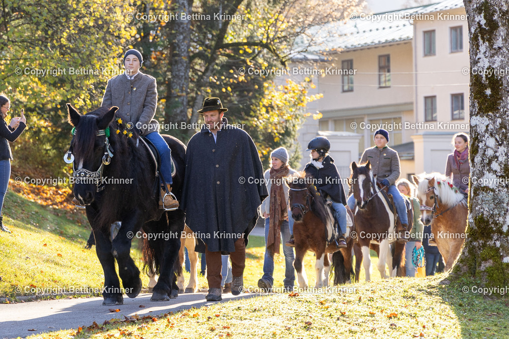 LL24-208 | foto-bettina-krinner - Realisiert mit Pictrs.com