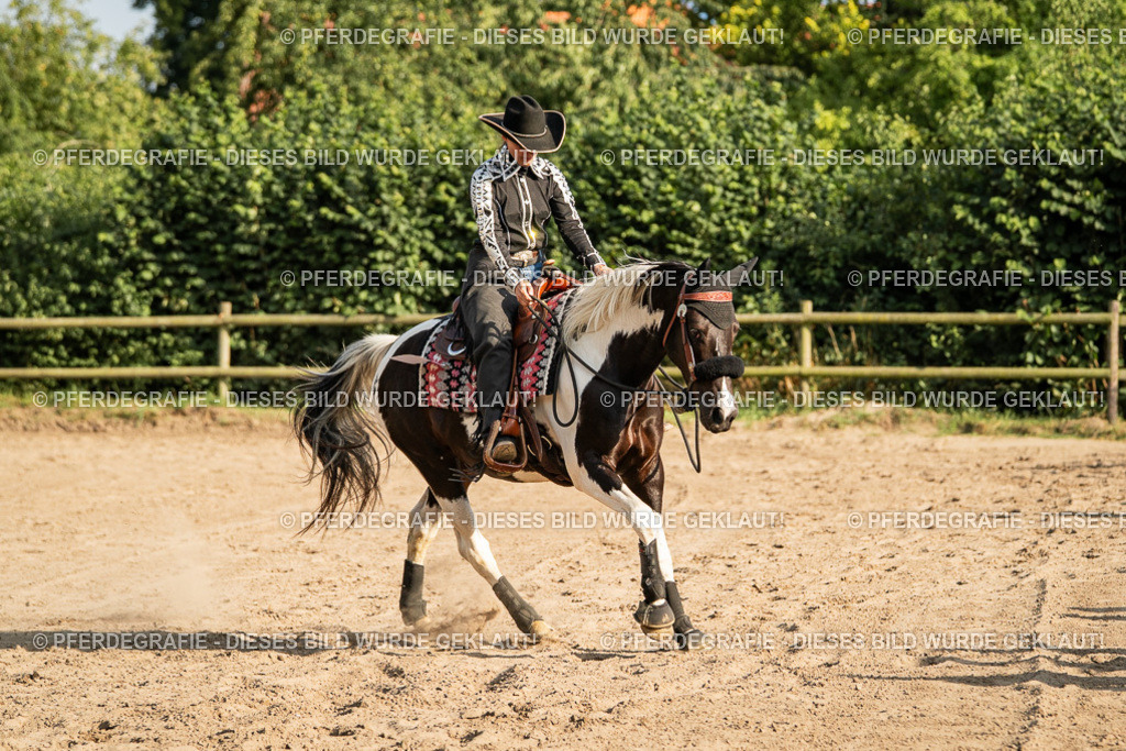 DSC05501 | Pferdegrafie