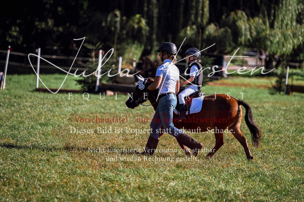 DSC_0479 | Pferde- und Turnierfotografie in Westsachsen. Pferdeportraits, Auftragszeichnungen und intuitive Kunst.