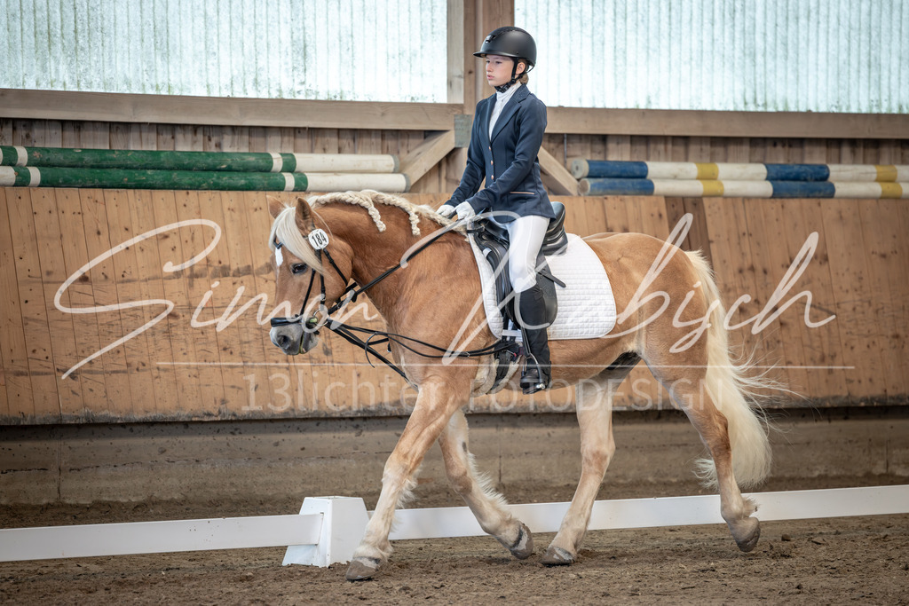 20251011-_3LI8220 | Tierfotografie Pferde, Hunde, Katzen, Haustiere.
Turnierfotografie Reitturniere, Reiten, Springreiten, Dressur in Hanau, dem Main-Kinzig-Kreis und dem Rhein-Main- Gebiet um Frankfurt