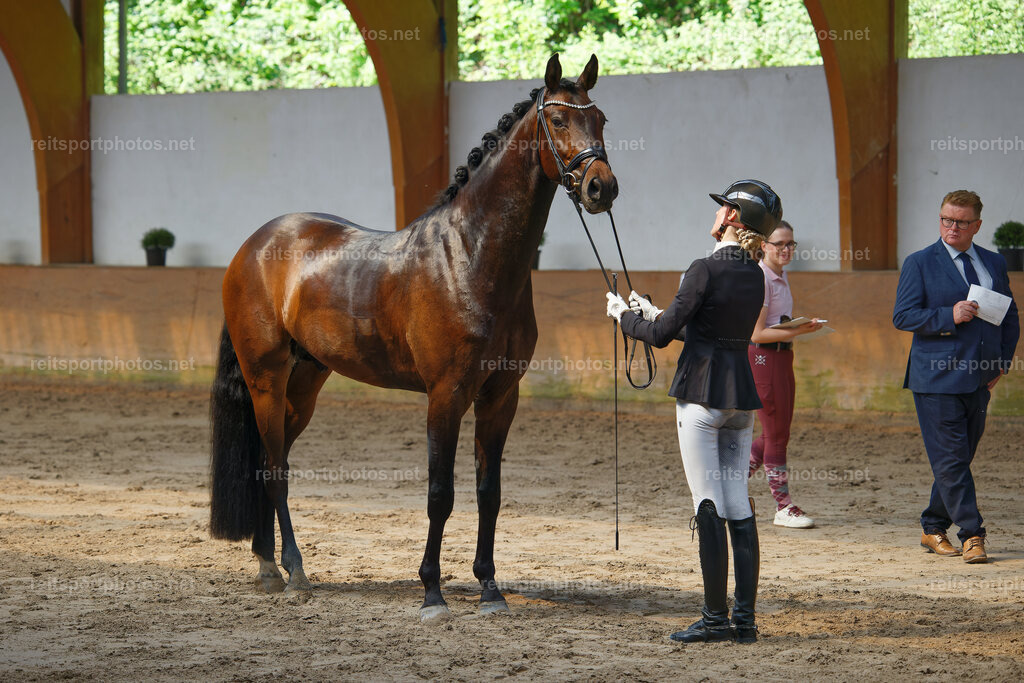JHE_0578 | JoYa Fotografie - Realisiert mit Pictrs.com