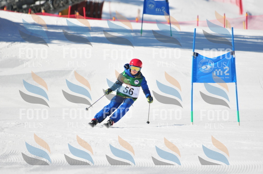 C2155 | holidayphoto