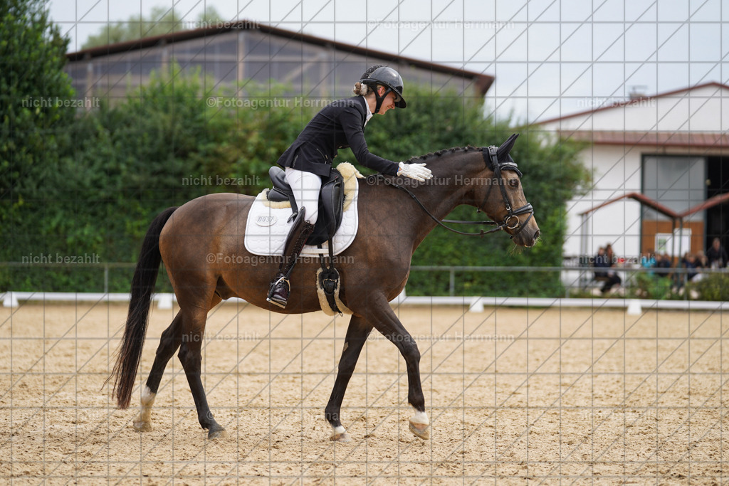 20240825-FAH00046 | Turnierbilder, Reitsportfotos, LAPO, Landesponyturnier, Turnierfotografen Bayern