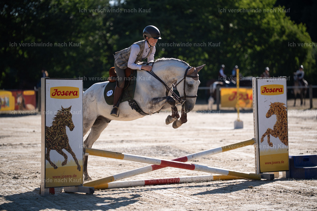WL_SP_114_Stoibphotography_SO13593 | working equitationturnier fotograf videograf stoibphotography marixx film working equitation deutschland reitsport turnierfotografie eventfotografie equestrian events