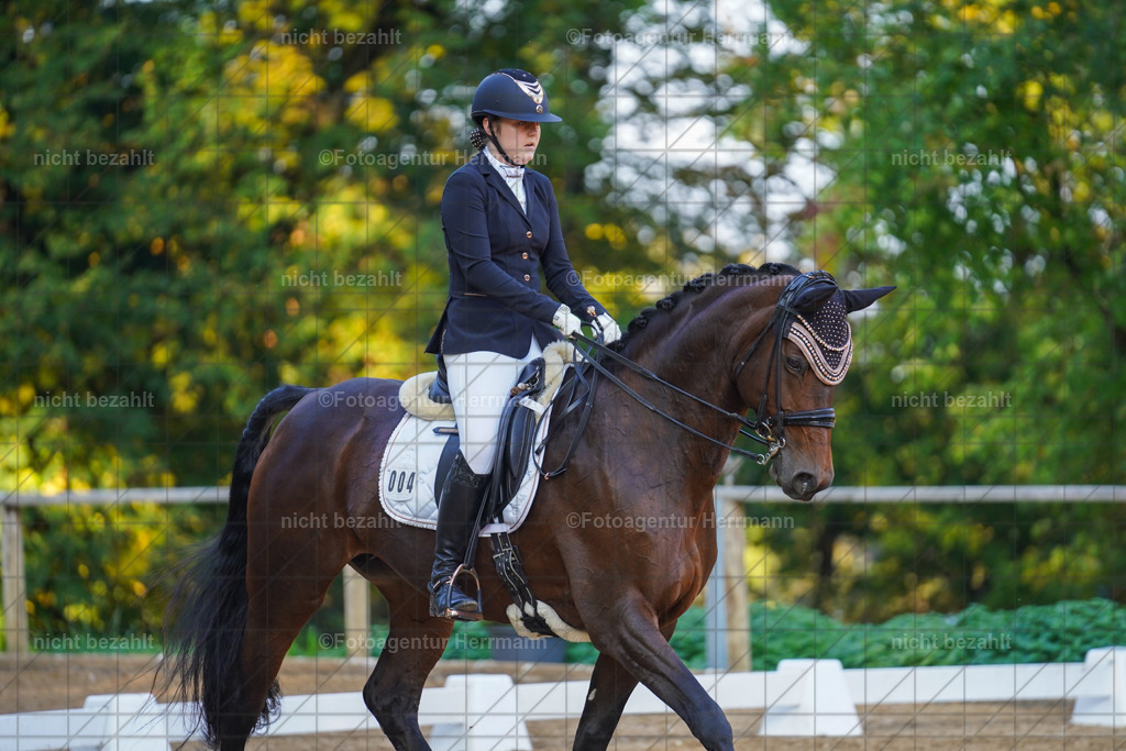 20221007-FAH00405 | Diessen am Ammersee, 2022, Dressur- und Springturnier, Reitsportbilder, Turnierfotografen Bayern, Pferdefotografen, Fotoagentur Herrmann, Turnierbilder