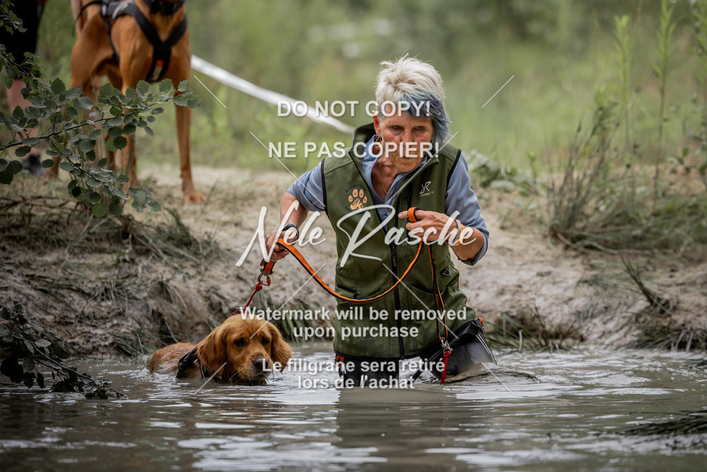 nelerasche_so0800-0930_226 | nelerasche