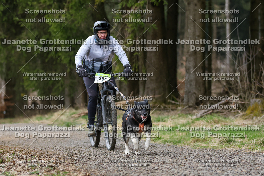 Dog Paparazzi - VCC26-576 | Dog Paparazzi Jeanette Grottendiek Fotografie & Videografie - Realisiert mit Pictrs.com
