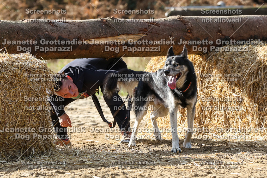 Dog Paparazzi - Strongdog 10-25-5875 | Dog Paparazzi Jeanette Grottendiek Fotografie & Videografie - Realisiert mit Pictrs.com