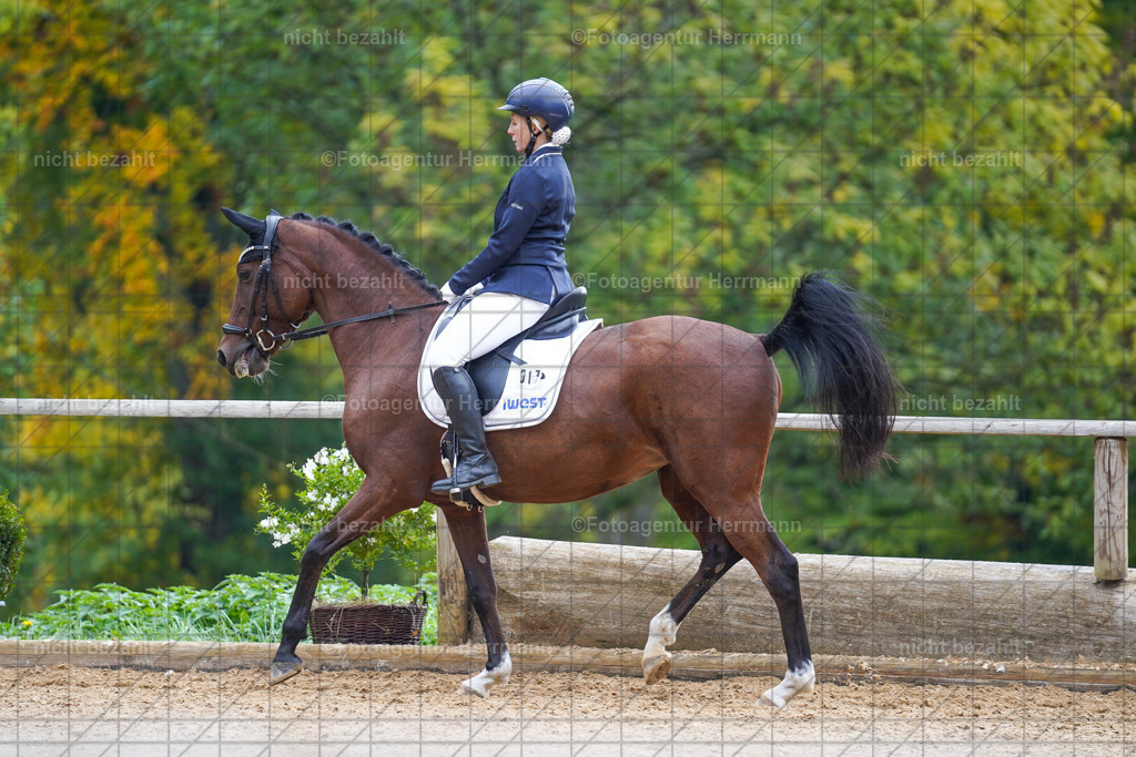 20221008-FAH01035 | Diessen am Ammersee, 2022, Dressur- und Springturnier, Reitsportbilder, Turnierfotografen Bayern, Pferdefotografen, Fotoagentur Herrmann, Turnierbilder