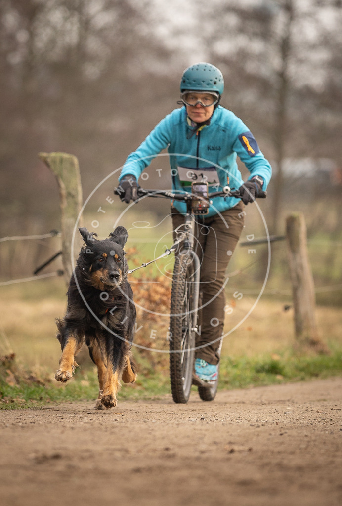 Pfotenfotografie_DV3A4250 | Hundefotografie, Tierfotograf, Pfotenfotografie, Fotoshooting Hund, Hunde Portrait, Hundesport, Hundeportraits, Heideshooting, Hunde, Sportfotograf, Hundefotograf, Turnierhundsport, THS,  - Realisiert mit Pictrs.com