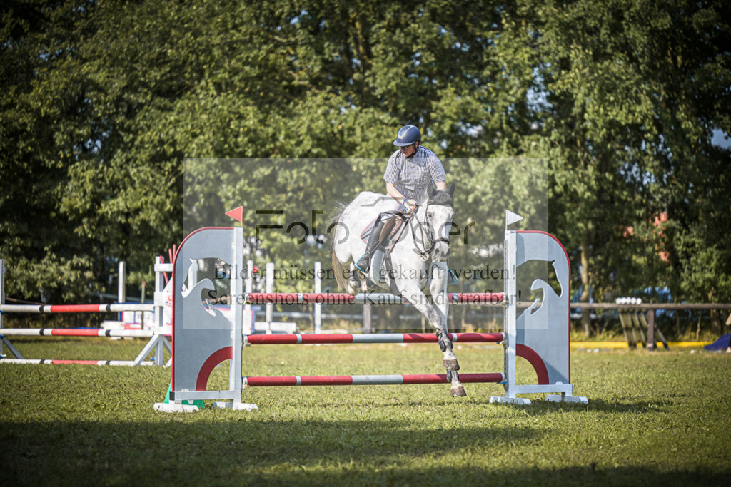 DOS_0495 | Entdecke hochwertige Reitturnierfotos von Foto Oger. Professionell, emotional und authentisch – jetzt Lieblingsmomente im Shop bestellen.Deutschlandweite Turnierfotografie. - Realisiert mit Pictrs.com