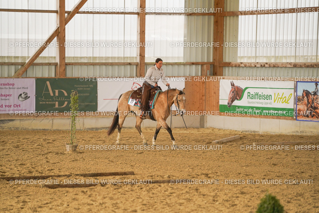 DSC03201 | Pferdegrafie