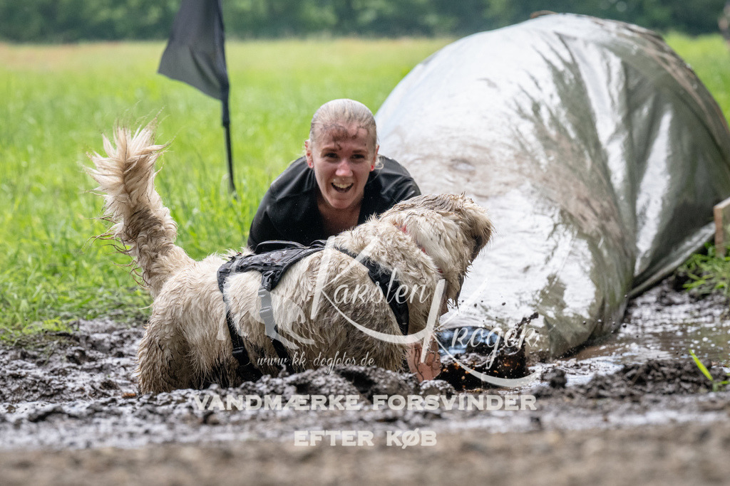 1115_ZZ92136 | kk-dogfotos