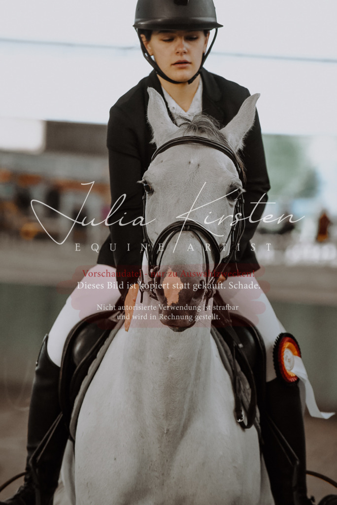 DSC_7519 | Pferde- und Turnierfotografie in Westsachsen. Pferdeportraits, Auftragszeichnungen und intuitive Kunst.