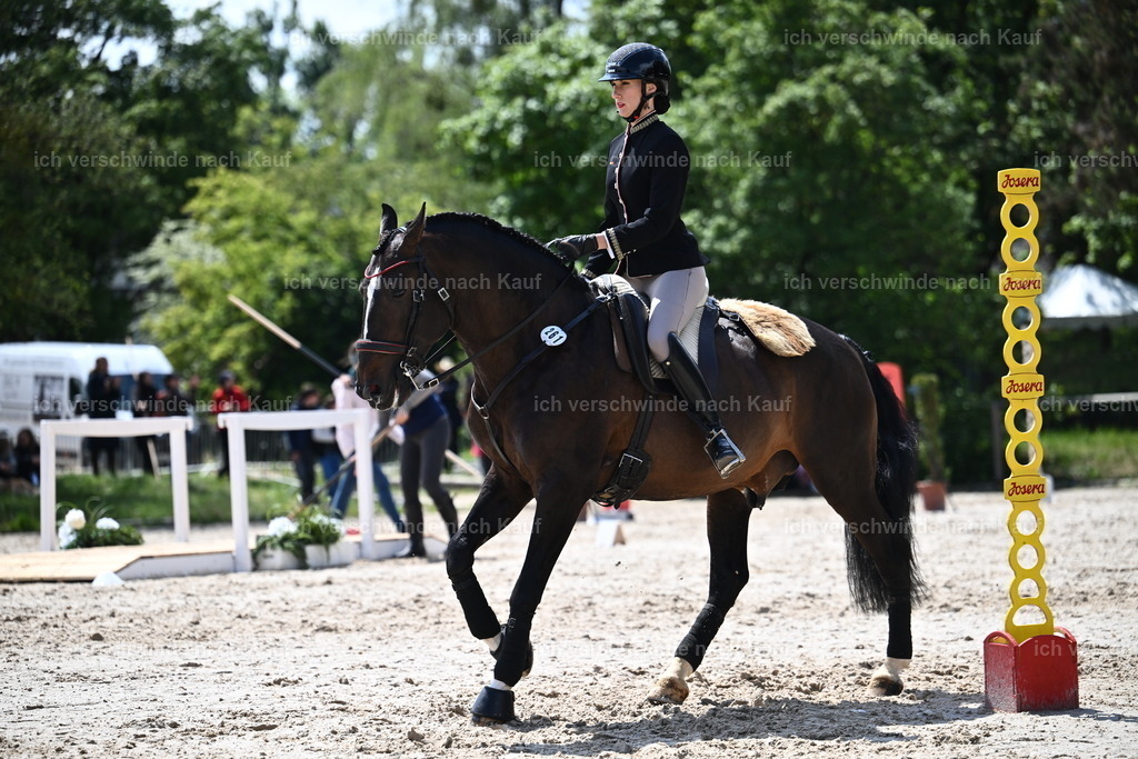 PI26_SP_Sara_Landvogt_226_5791.JPG | working equitationturnier fotograf videograf stoibphotography marixx film working equitation deutschland reitsport turnierfotografie eventfotografie equestrian events
