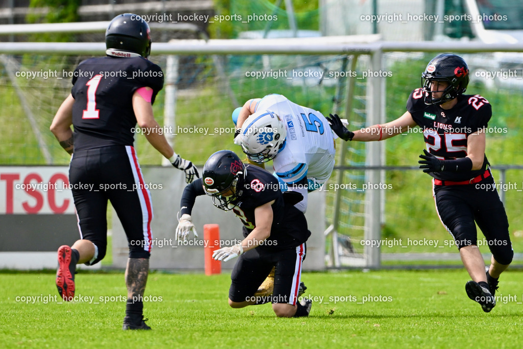 Carinthian Lions vs. Styrian Bears | Carinthian Lions vs. Styrian Bears, Carinthian Lions vs. Styrian Bears am 20.05.2024 in Klagenfurt (ASV Sportplatz), Austria, (Photo by Bernd Stefan)