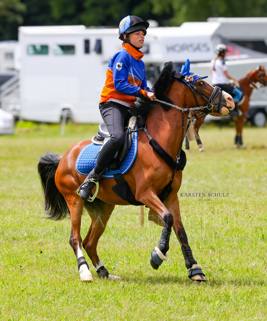 1B3A1672 | Reitsport Reiten