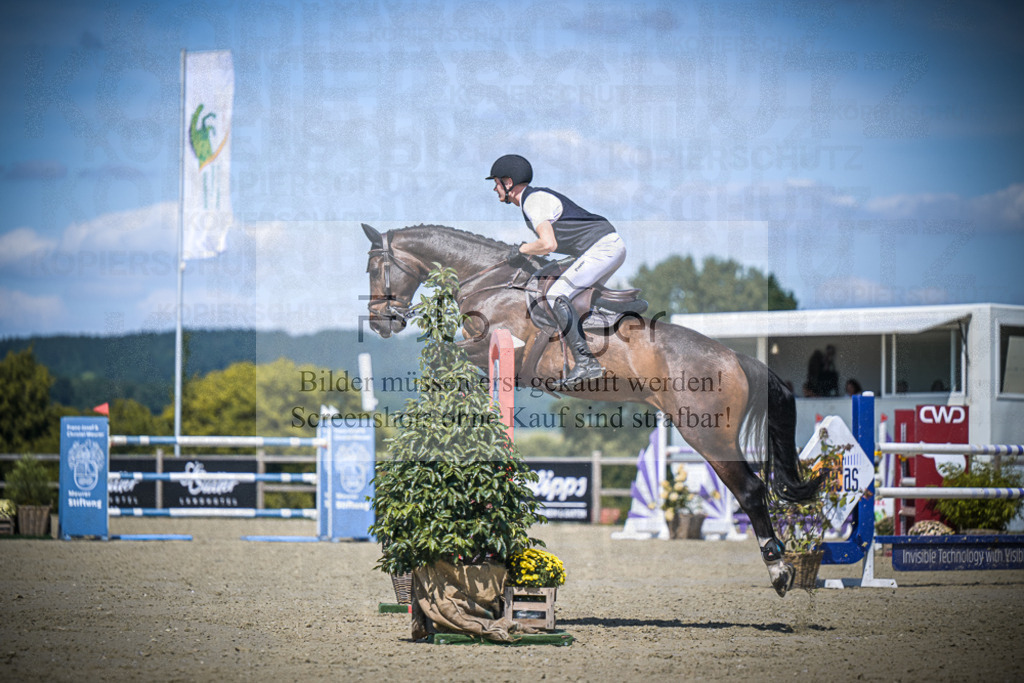 DOS_4221 | Entdecke hochwertige Reitturnierfotos von Foto Oger. Professionell, emotional und authentisch – jetzt Lieblingsmomente im Shop bestellen.Deutschlandweite Turnierfotografie. - Realisiert mit Pictrs.com