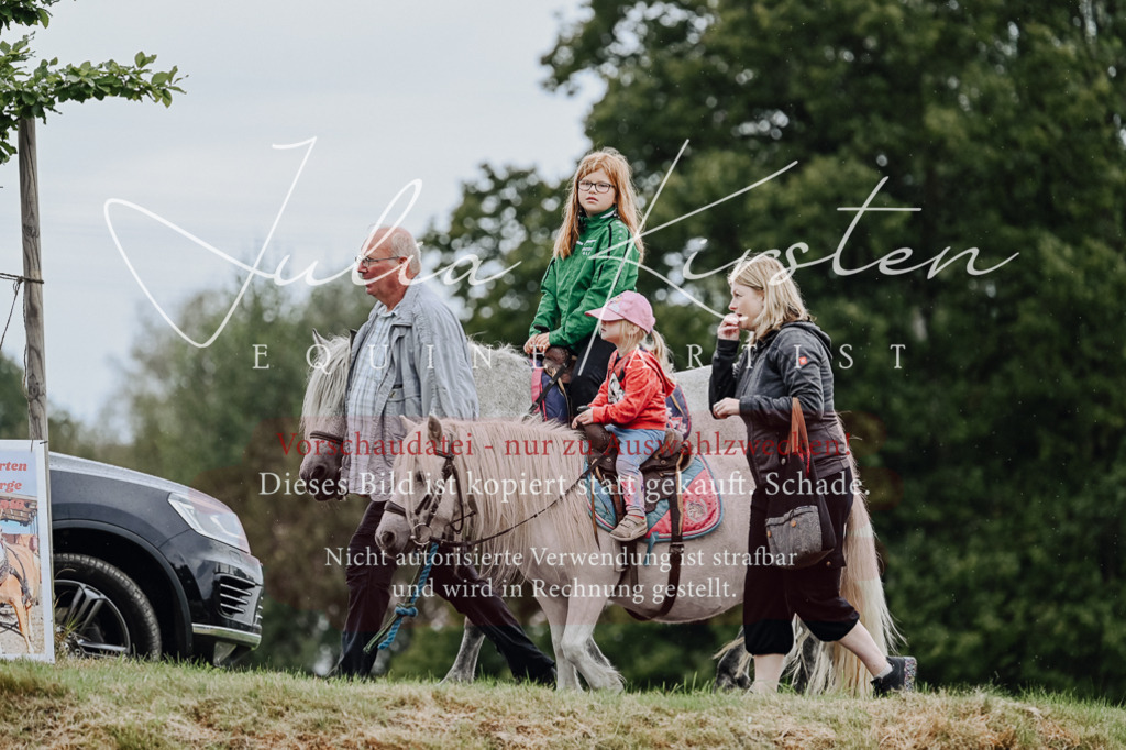 DSC_7041 | Pferde- und Turnierfotografie in Westsachsen. Pferdeportraits, Auftragszeichnungen und intuitive Kunst.