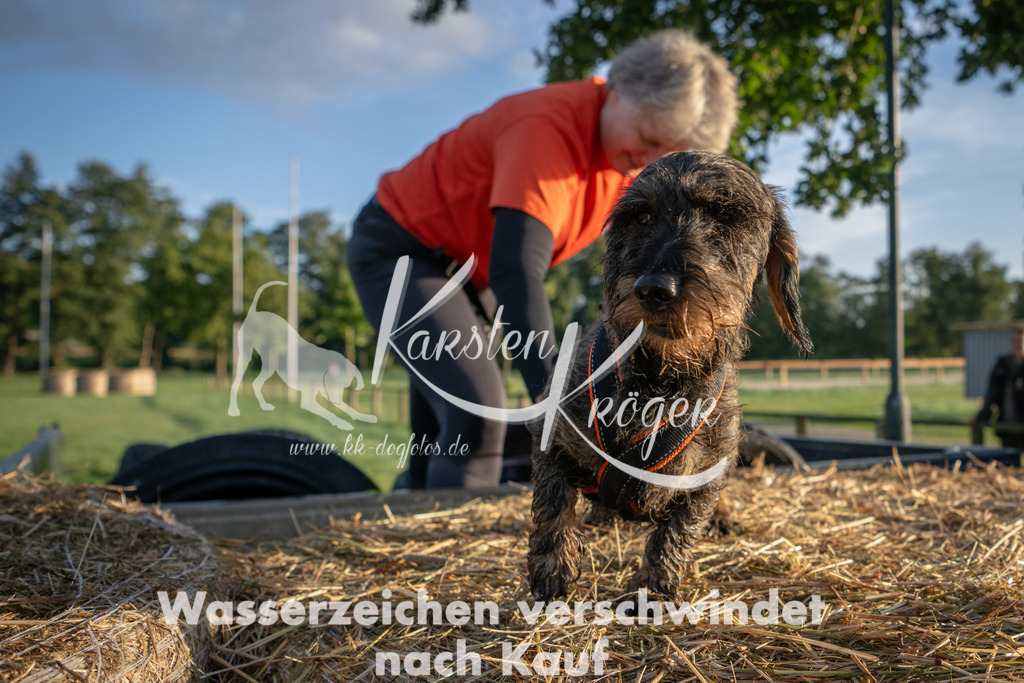 0806_ZZ90302 | kk-dogfotos