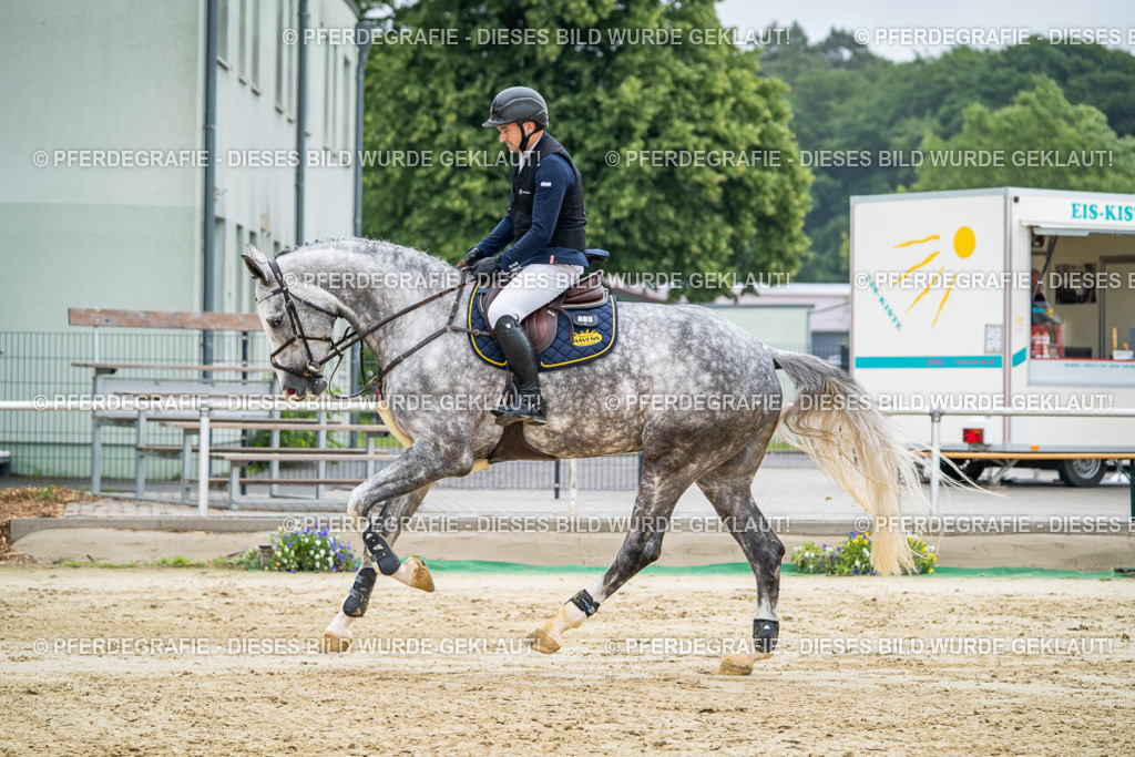 DSC02080 | Pferdegrafie