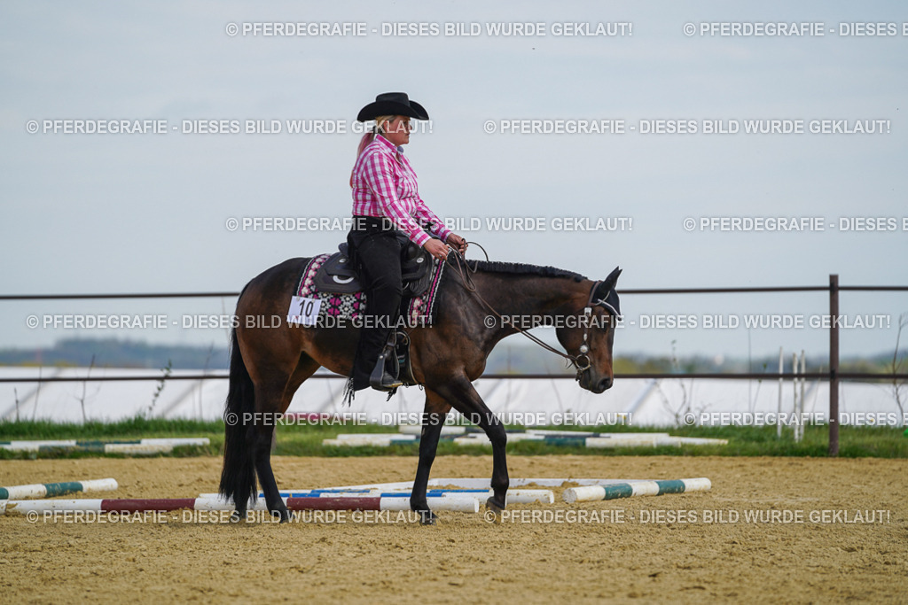 DSC05204 | Pferdegrafie