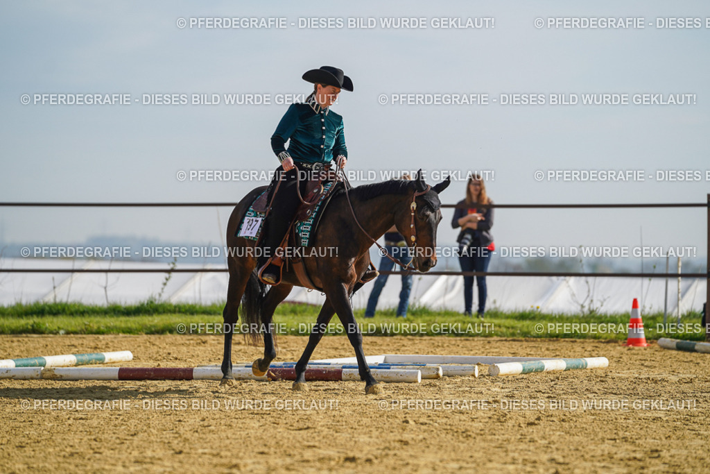 DSC01008 | Pferdegrafie