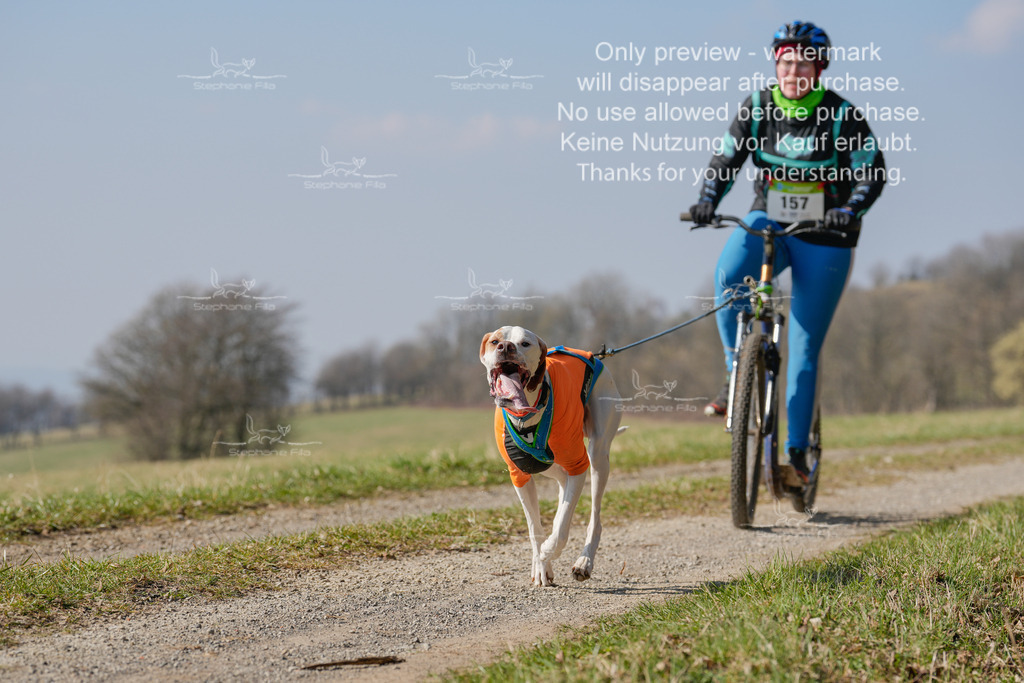Scooter_Lang-122 | stephaniefillaphotographie - Realisiert mit Pictrs.com