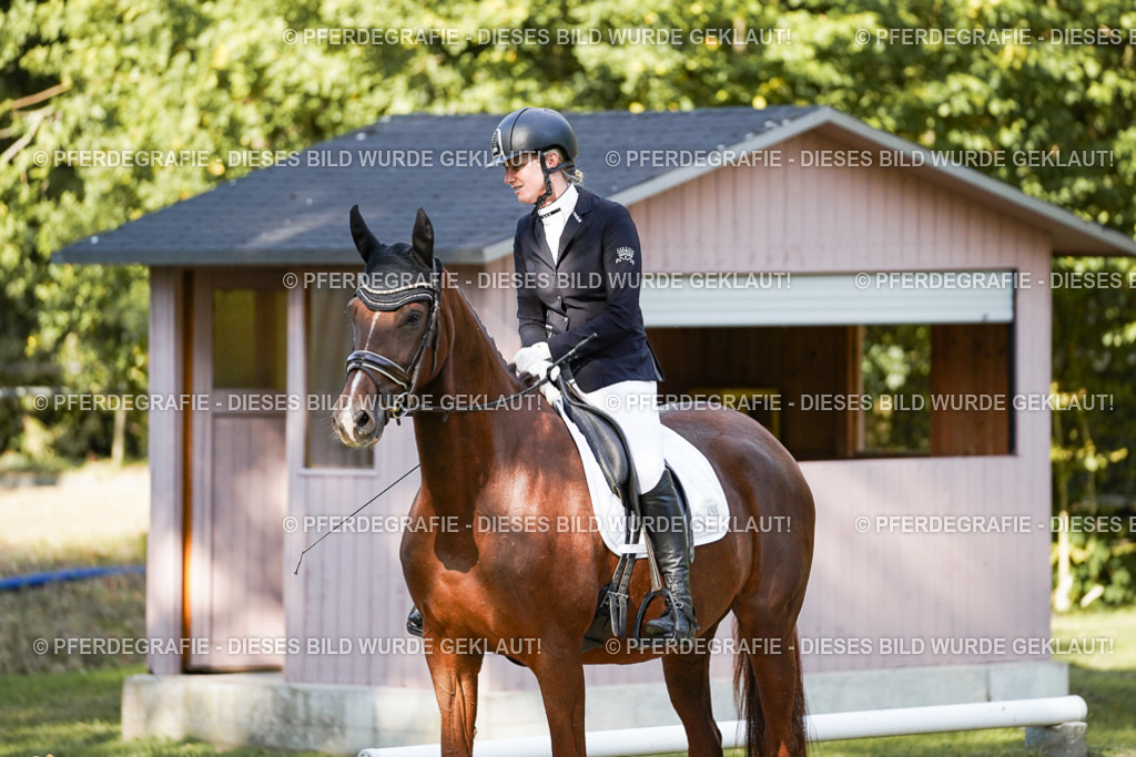 DSC07015 | Pferdegrafie