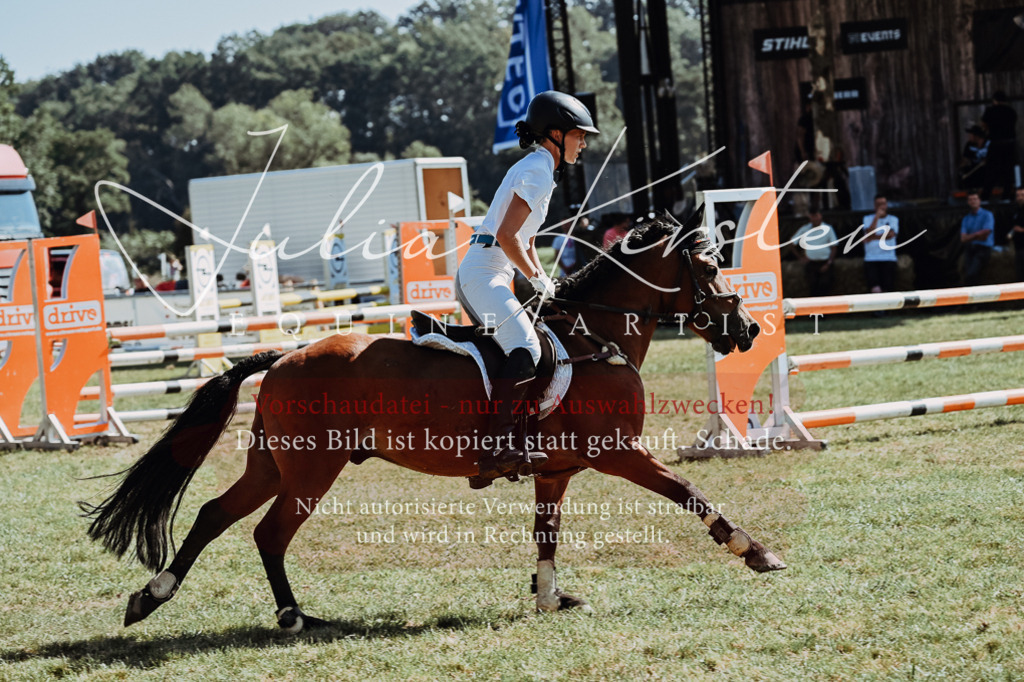 DSC_6167 | Pferde- und Turnierfotografie in Westsachsen. Pferdeportraits, Auftragszeichnungen und intuitive Kunst.