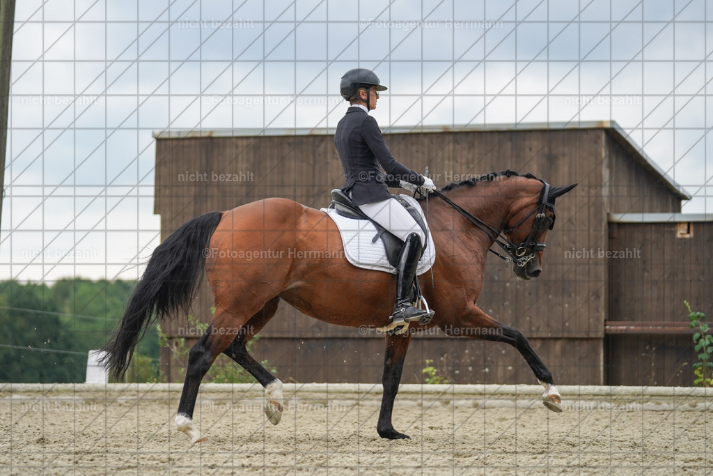 20230826-FAH06216 | Forstinning, 2023, Dressurturnier, Turniersportbilder, Turnierfotografen Bayern, Fotoagentur Herrmann, Reitsportfotografie, Turnierbilder