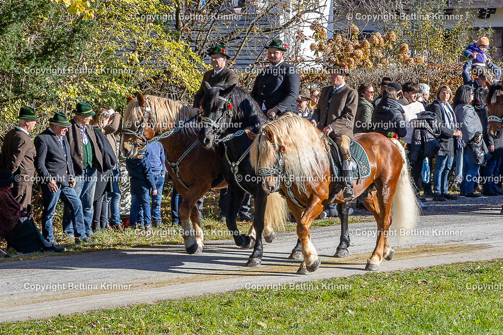 LBT25-762 | foto-bettina-krinner - Realisiert mit Pictrs.com