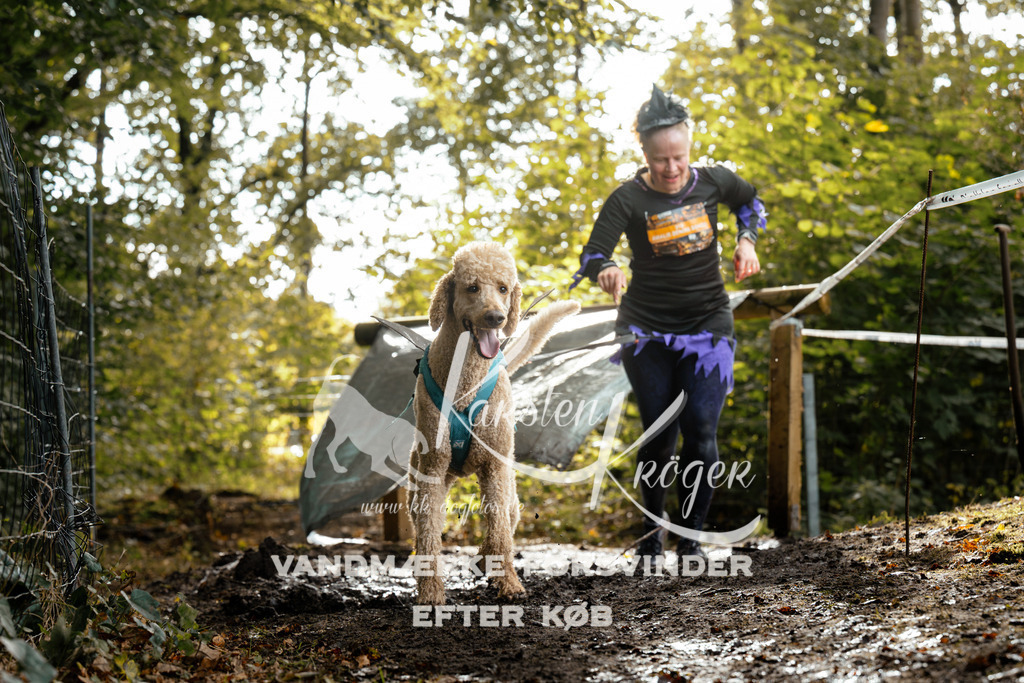 1457DZ6_4064Z6 | kk-dogfotos