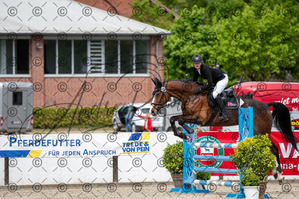 KPT_5527 | andre_photographic