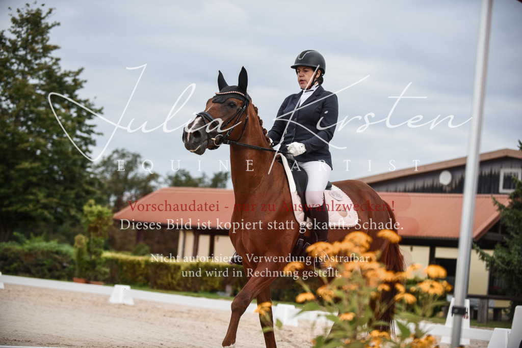 DSC_8374 | Pferde- und Turnierfotografie in Westsachsen. Pferdeportraits, Auftragszeichnungen und intuitive Kunst.