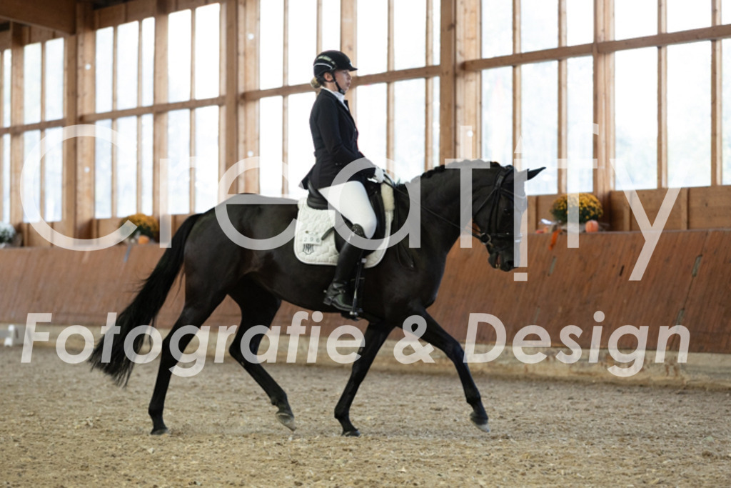 IMG_5645 | Creatify Fotografie