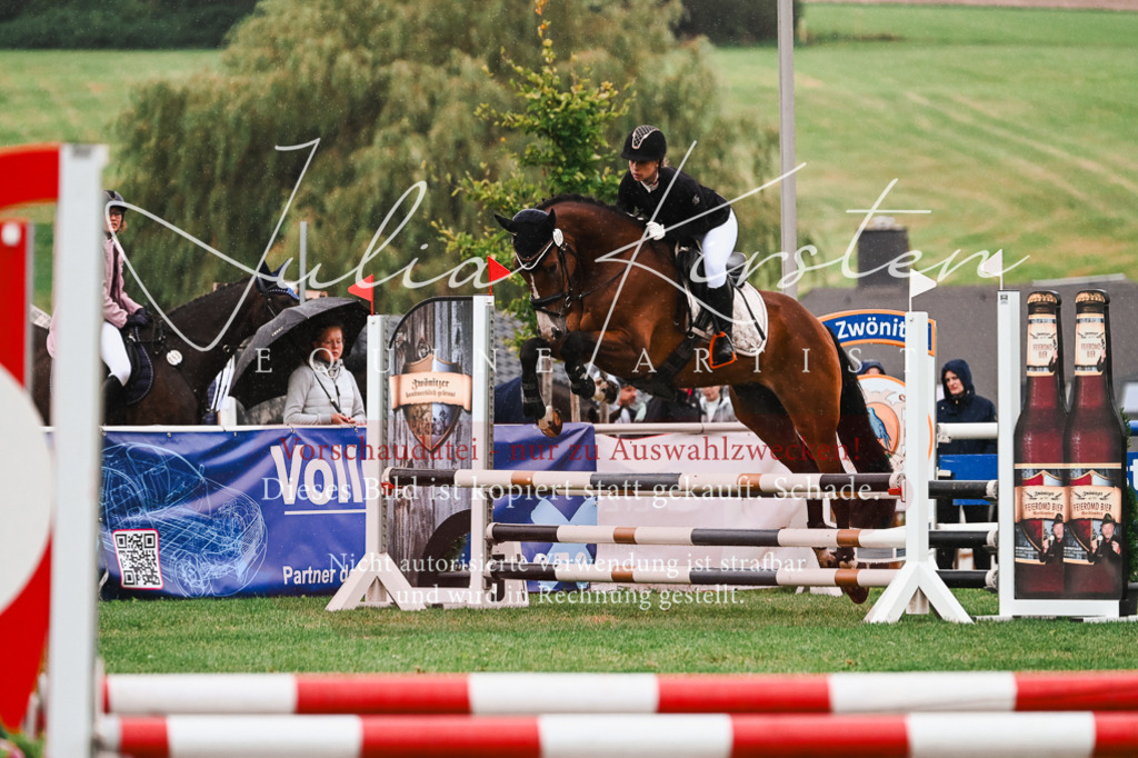 DSC_6603 | Pferde- und Turnierfotografie in Westsachsen. Pferdeportraits, Auftragszeichnungen und intuitive Kunst.